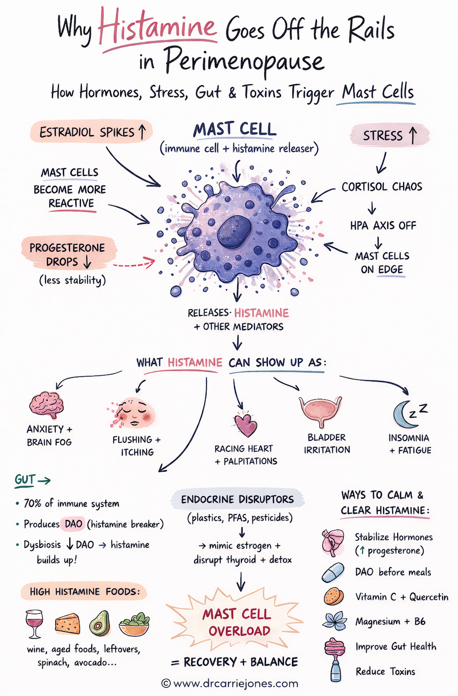Why Histamine Goes Off the Rails in Perimenopause