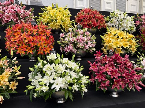 RHS Chelsea Flower Show Guide - The A-List by Aziza Lyons