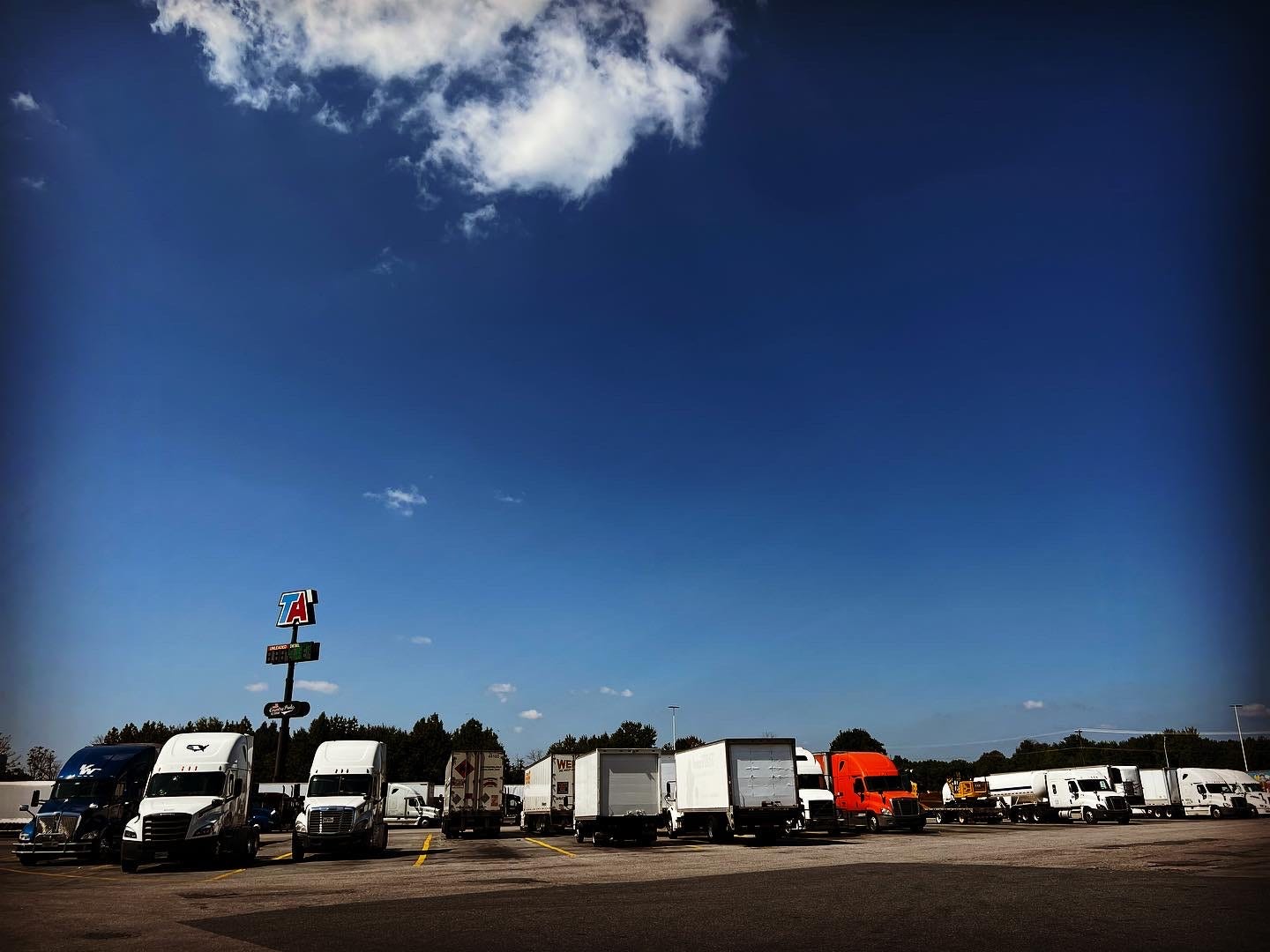 Took a Break from Posting Here