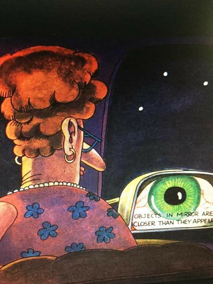 Objects in the mirror are closer than they appear. - Far Side