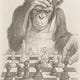 Monkey by the Chess