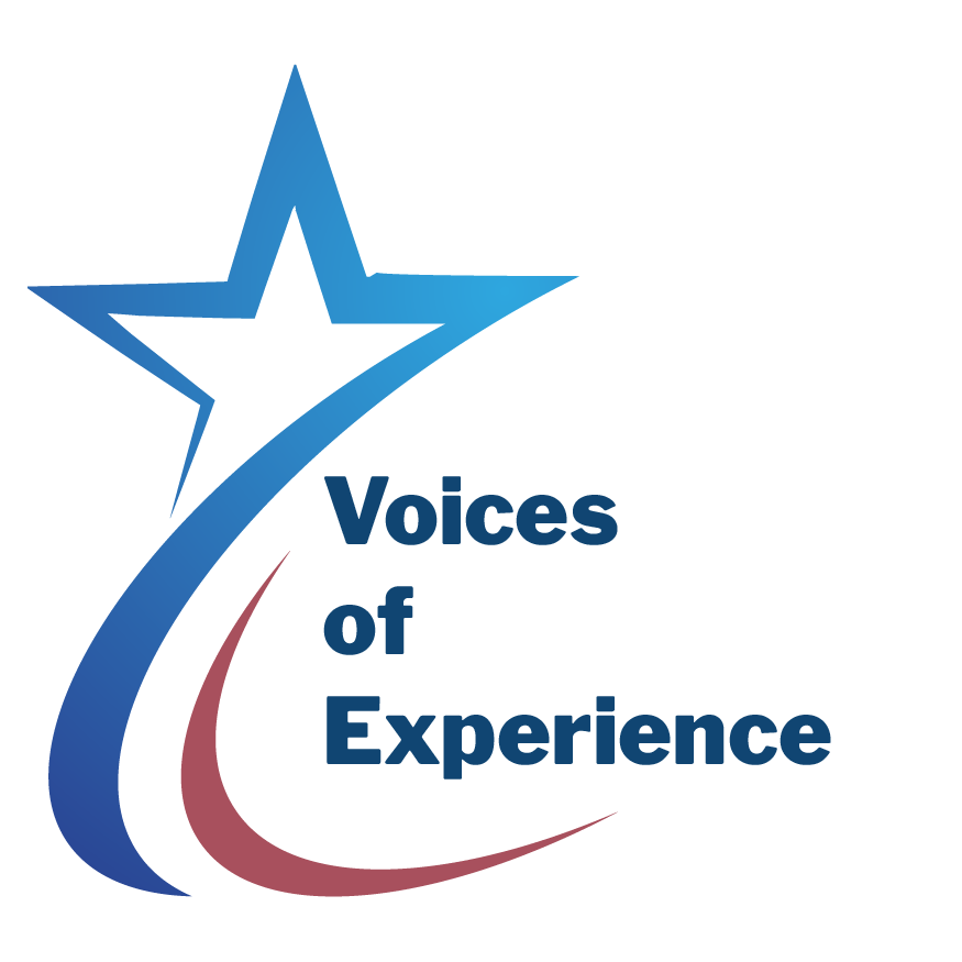 Voices of Experience: Insight and Wisdom from NSL4A