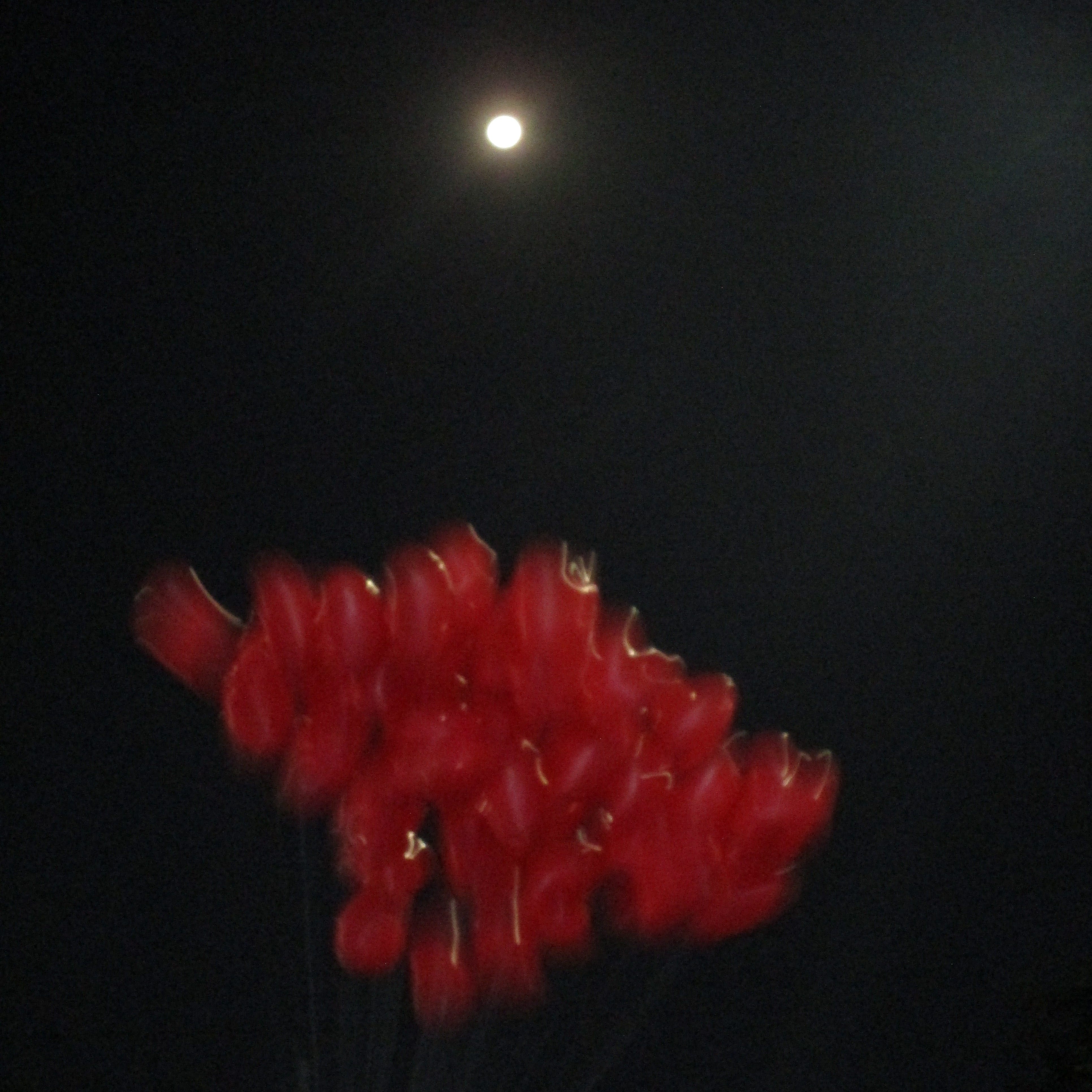 prajjj’s Newsletter