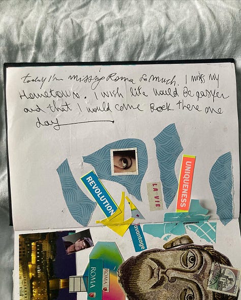 collages on a journal, images from magazines such animals and faces. seaguls, scraps of papers, words