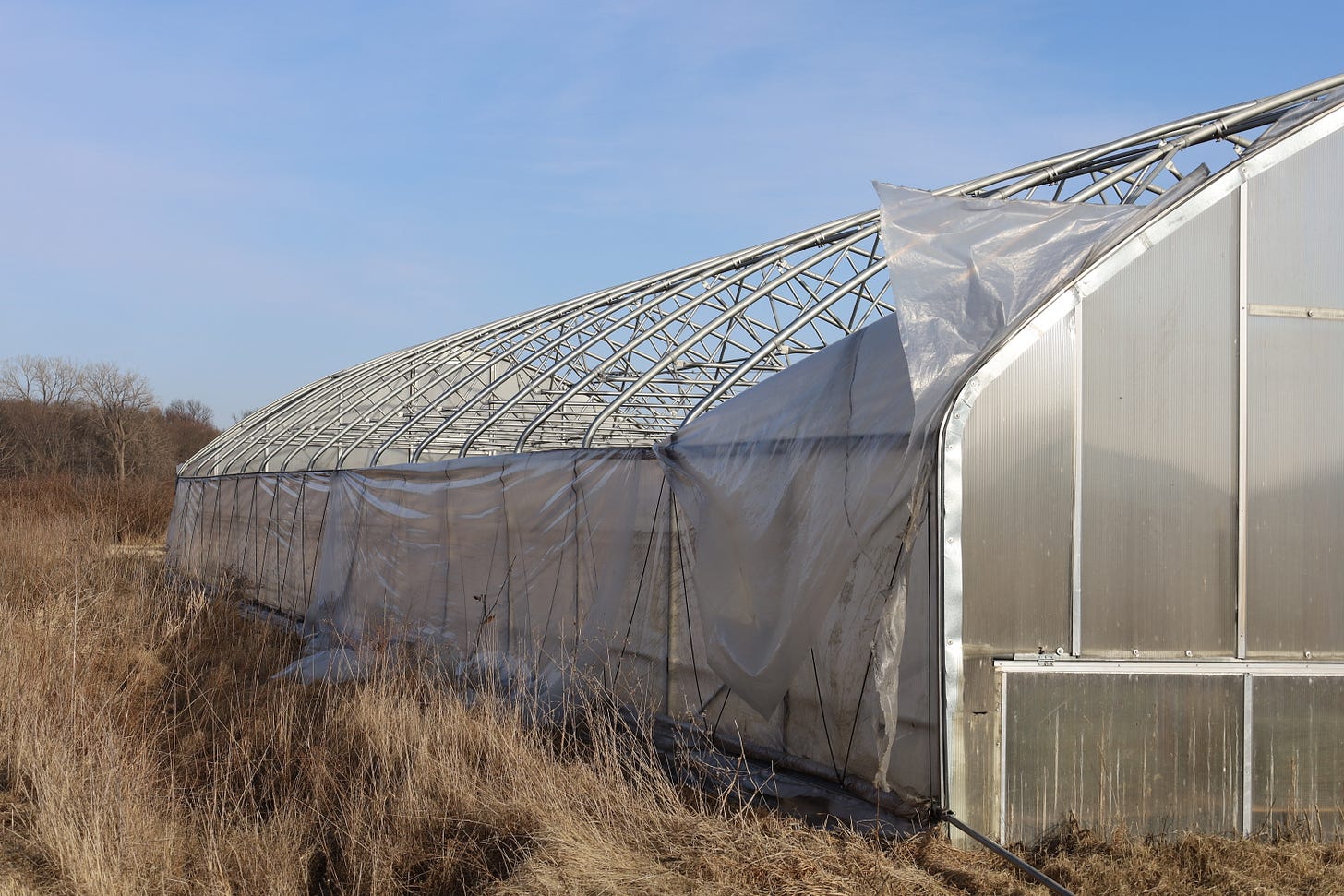 GFF high tunnel with plastic damaged after high winds