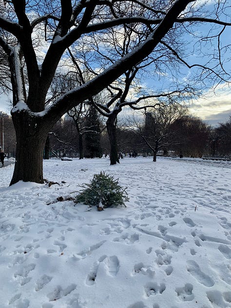 Vista del palcoscenico prima dell’inizio del musical. Due foto del parco ricoperto di neve.