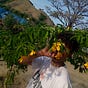 Sunflower's avatar