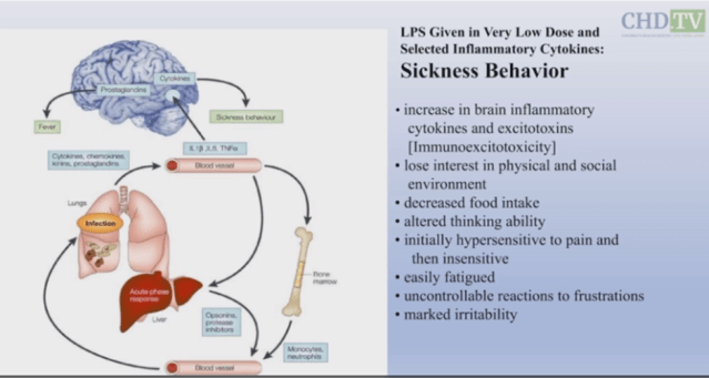 Breakthrough Discovery: Neurosurgeon Unveils Shocking Link Between COVID Vaccine and Brain Damage & Cancer Risk