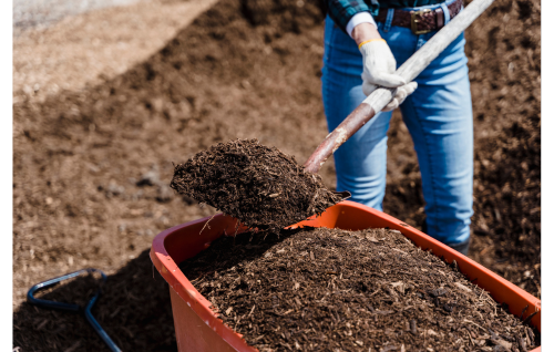 A person scoops brown mulch from a wheelbarrow. A person scoops brown mulch from a wheelbarrow.