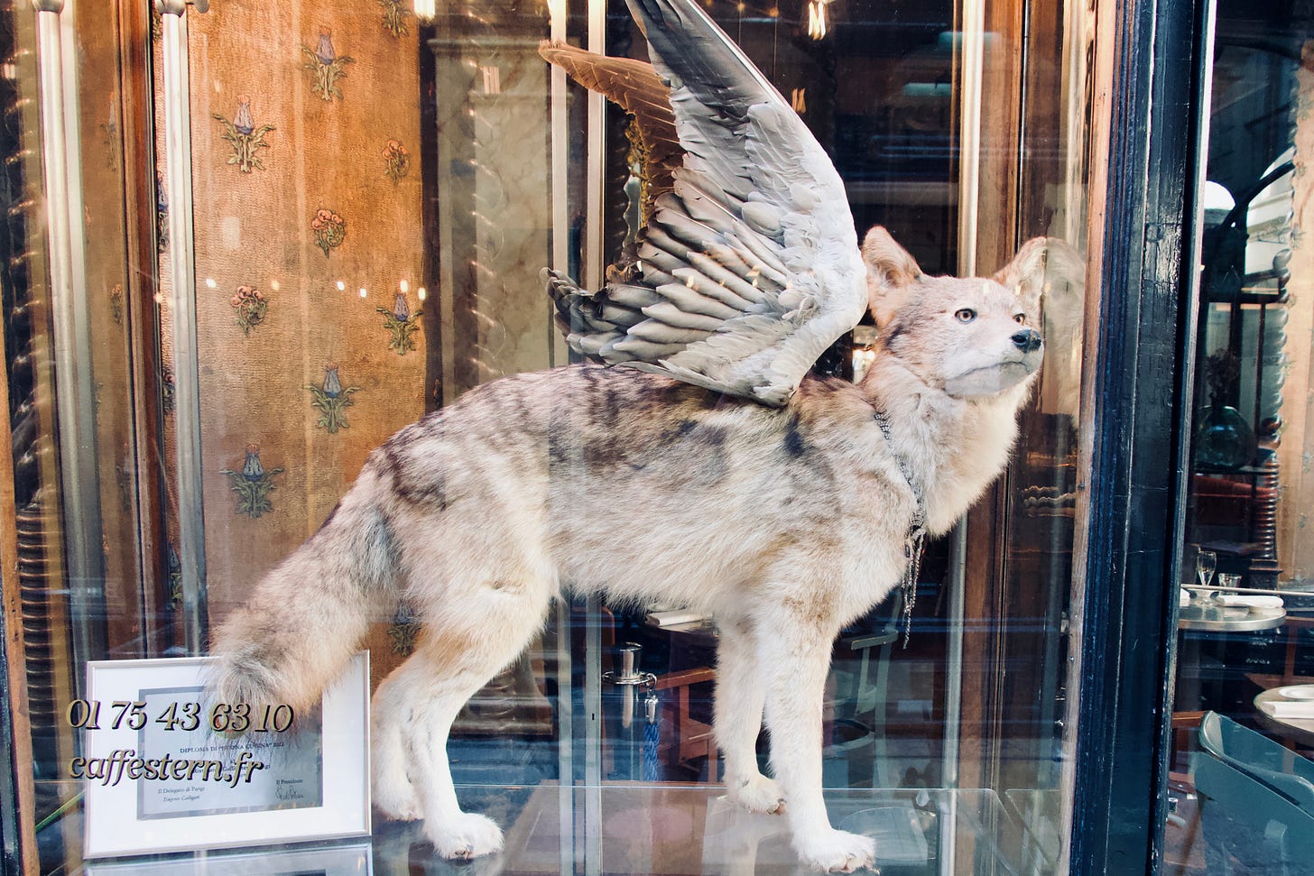 Photo gallery of the day spent wandering around in Paris. Photo gallery of the day spent wandering around in Paris.