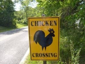 Chicken Crossing Illustrating Absurdity