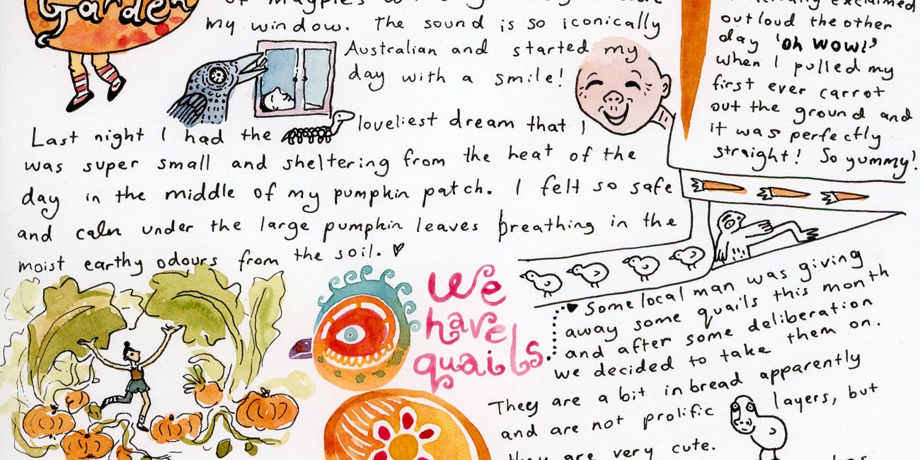 December Garden Diary
