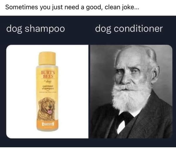 No photo description available.