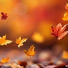 Herfstmagie: vertragen, genieten en mijn herfstlijstje [+ update]