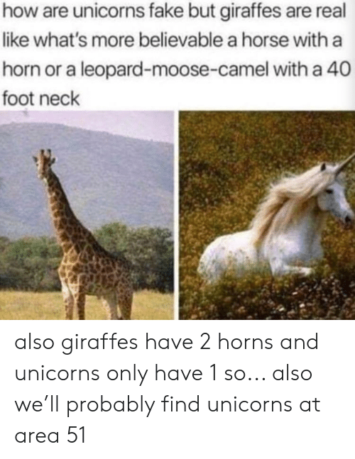 Unicorn Vs Giraffe Meme Unicorn Vs Giraffe Meme