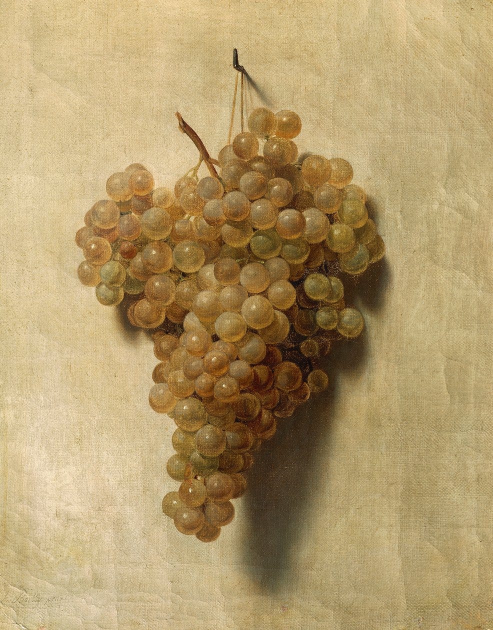 White grape by Louis Leopold Boilly