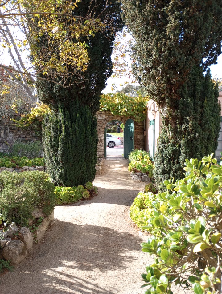 Image top left: curly fence shadows. Top right: a friend walking on a train by the sea, lit by sunlight. Bottom left: Shreds of aluminum fencing hanging from a horizontal pole, the ocean behind it. Bottom right: dirt path through an italian-style garden leading to an open door in a stone wall.