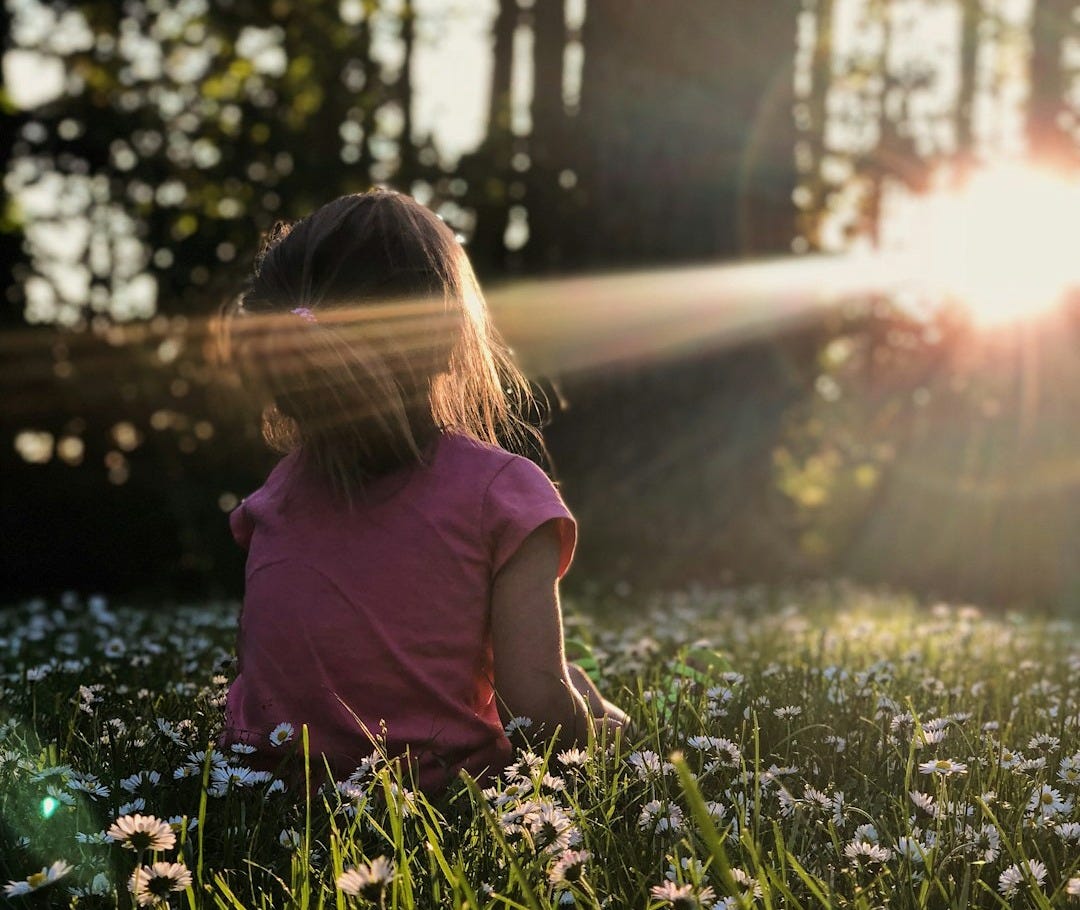 girl sitting on daisy flowerbed in forest