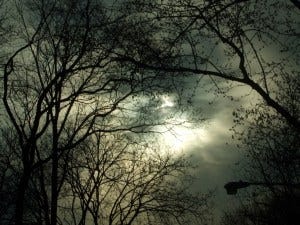 silence on day that darkens silence on day that darkens