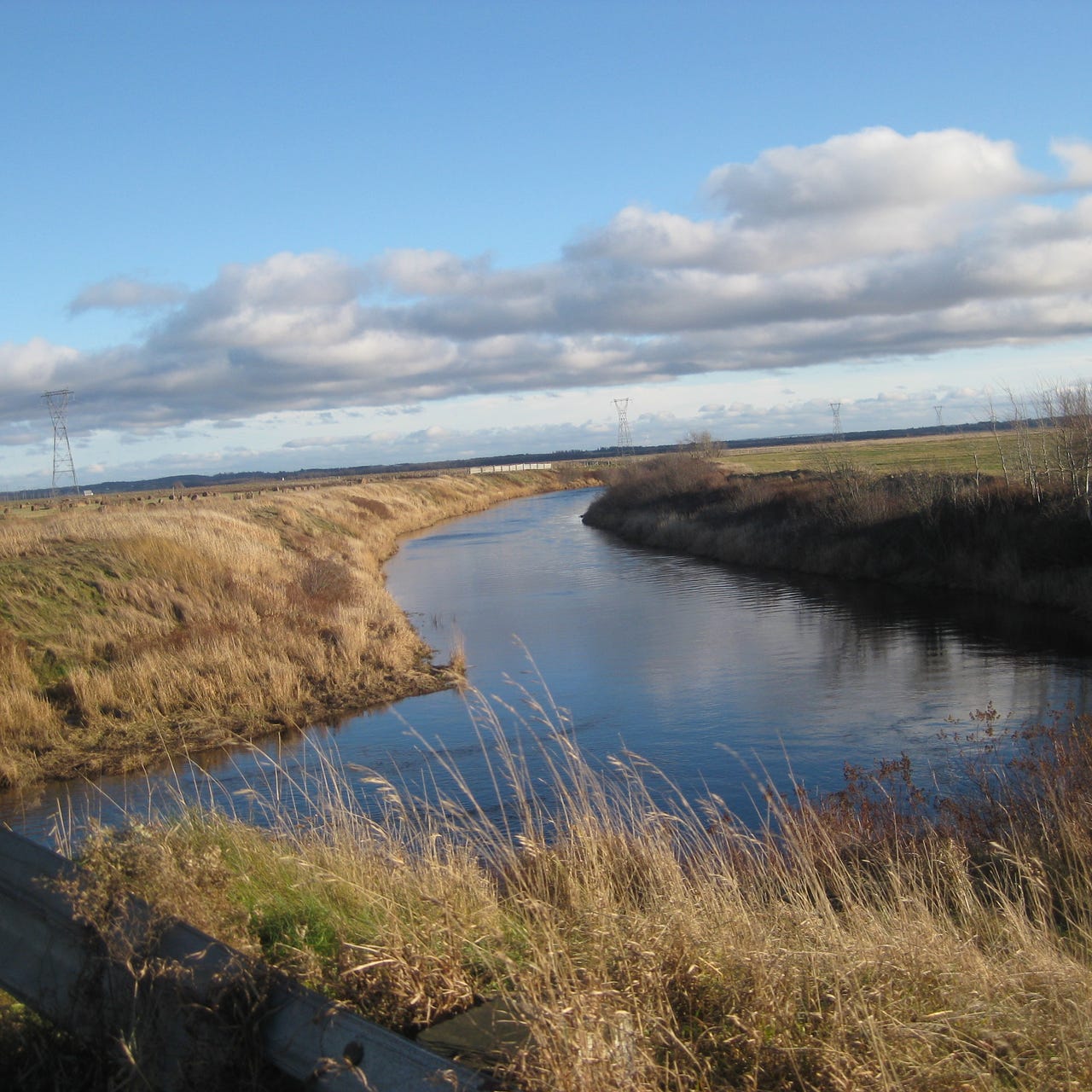 The Quaking Swamp Journal