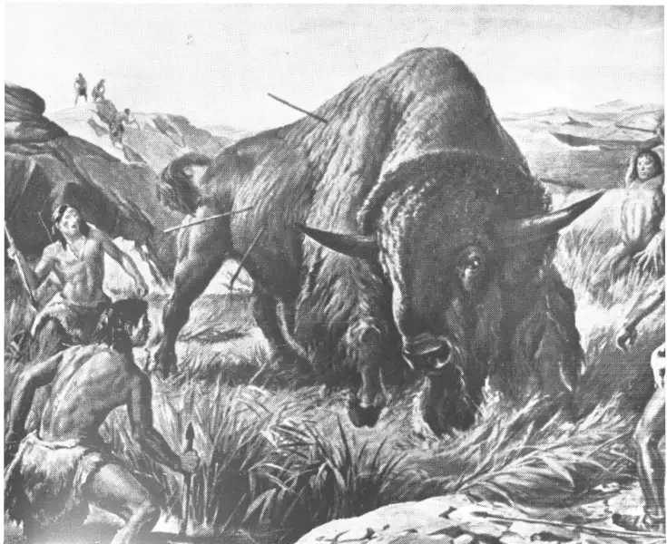 Ancient Bison - All About Bison