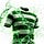 Celtic DNA
