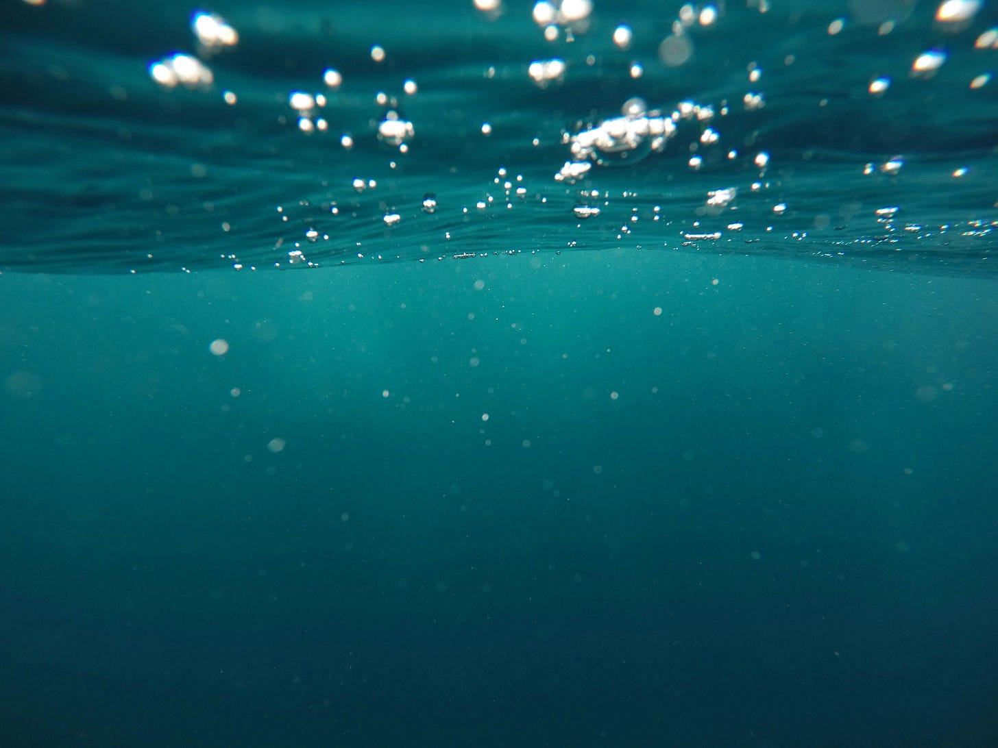 A phot under the surface of water. 