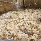 Making Funky, High Ester Rum - Part 1