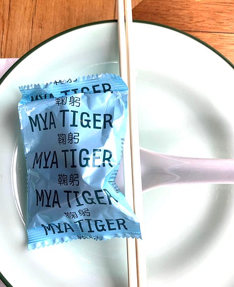 Mya Tiger, St Kilda, Melbourne, Australia
