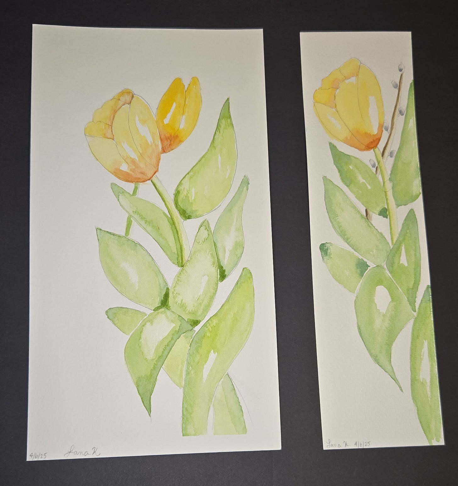 Two watercolor tulip studies side by side, each showing yellow blossoms with layered green leaves, signed and dated April 2025.