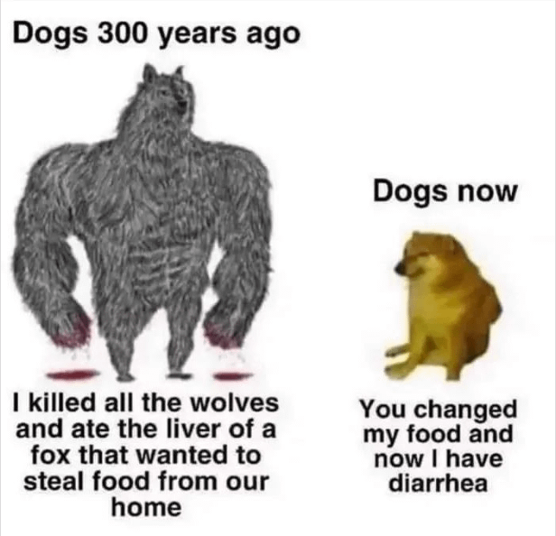 r/dogmemes - Cães 300 anos atrás vs agora Meme