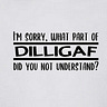 DILLIGAF?IDO