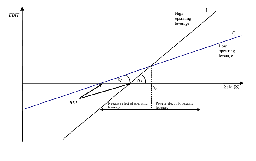 Operating Leverage: The Hidden Multiplier of Returns