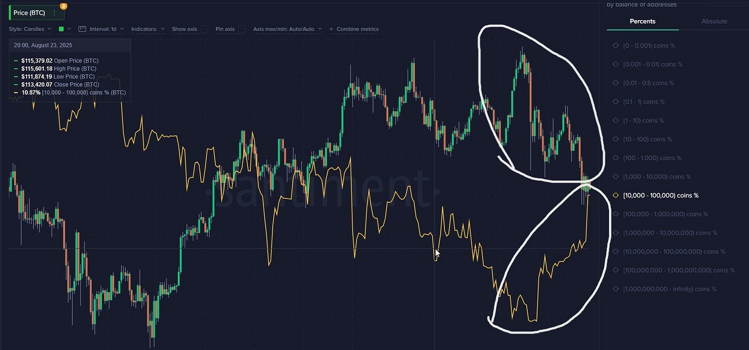 牛市還在，你怕了嗎？ - 加密市場週期訊號｜by Marcus Jin