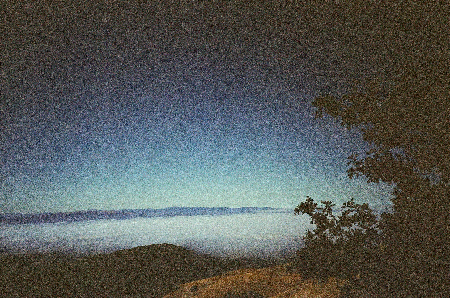 A grainy film photograph of trees, clouds, and sky.