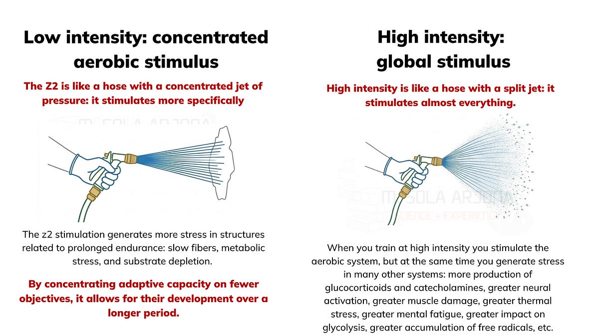 Visual High Intensity ¿Low or high intensity? IT DEPENDS ON THIS