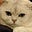 Jun's avatar
