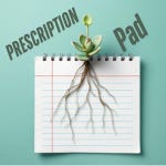 Artwork for The Prescription Pad