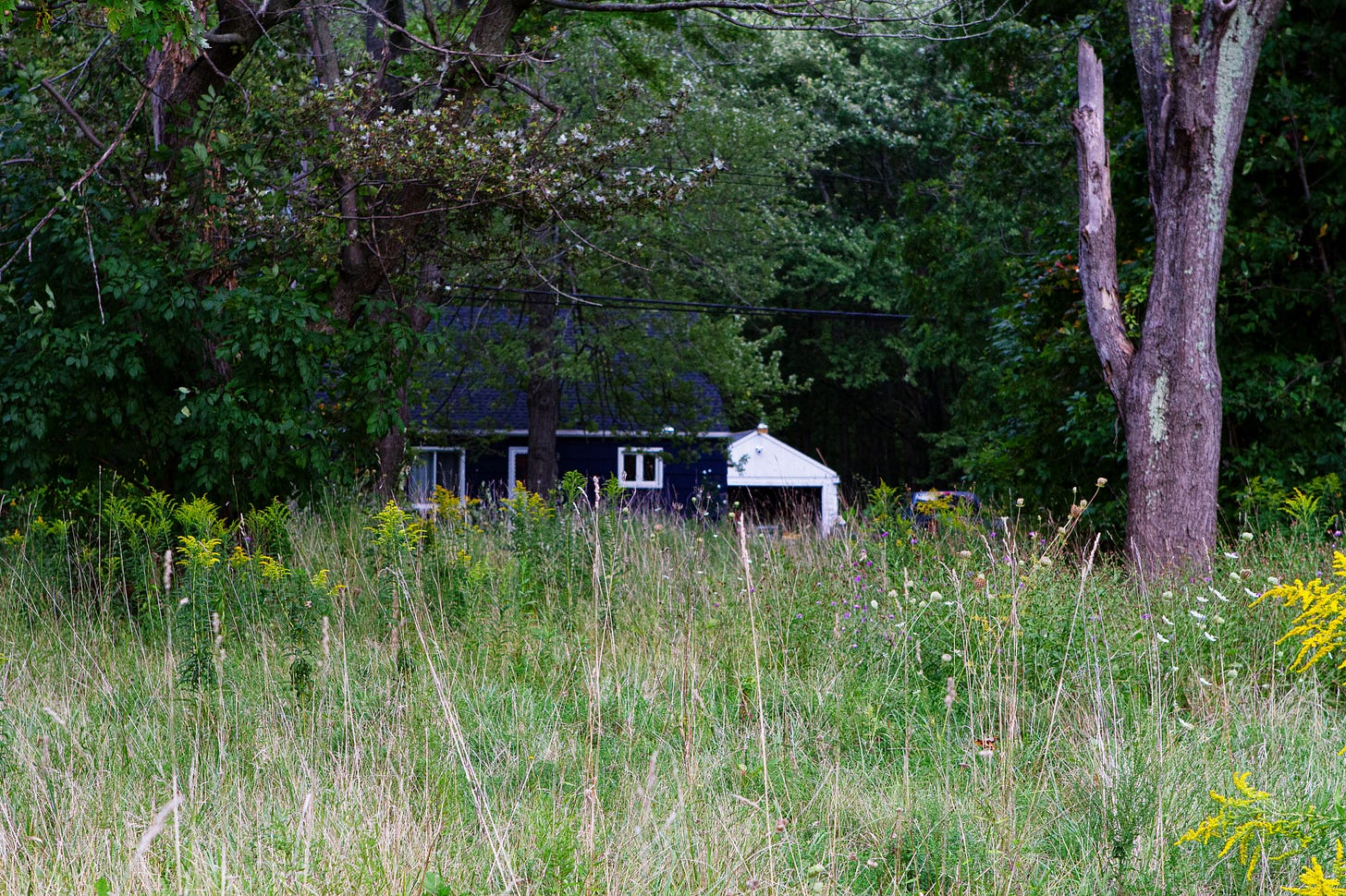 The Love Canal neighborhood as it looked in September 2023. Photo by Eric F. Coppolino / Chiron Return