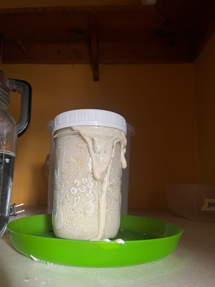 On the left, a jar on top of my fridge that has overflowed with starter, which looks like a thick pancake batter. On the right, I'm holding the open jar, which is filled to the brim with starter, which is bubbling and frothing