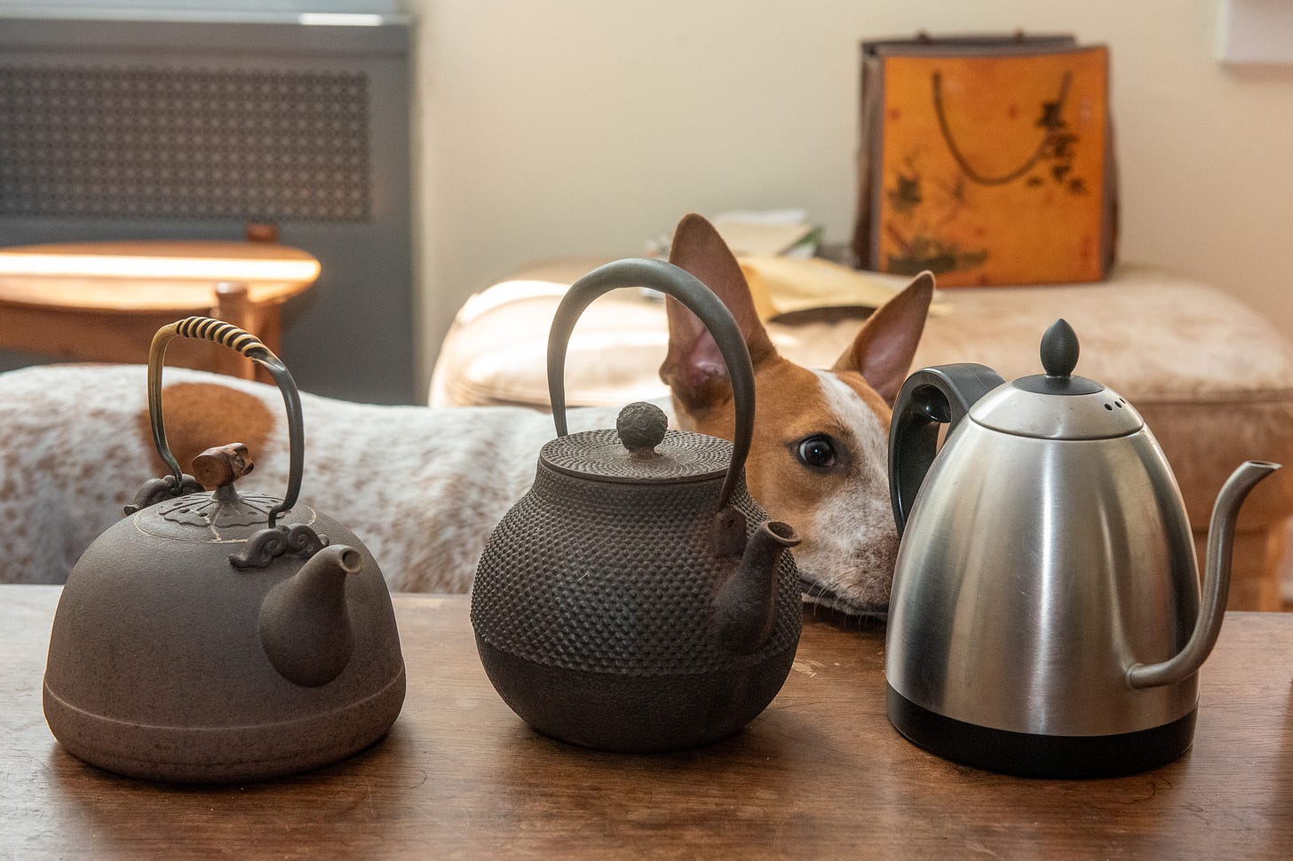 ID: Clay, cast iron, and electric tea kettles