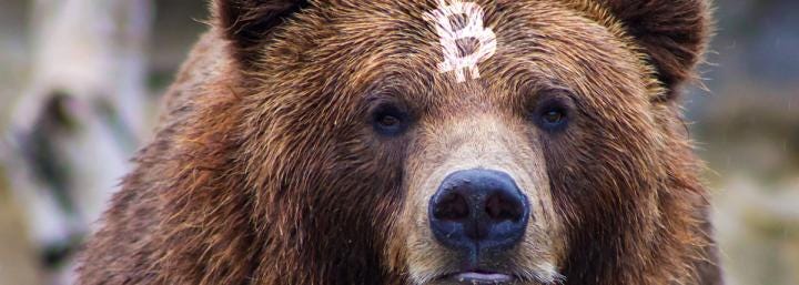 Bitcoin remains in firm bear trend until it reclaims $8,000 — here’s why Bitcoin remains in firm bear trend until it reclaims $8,000 — here’s why