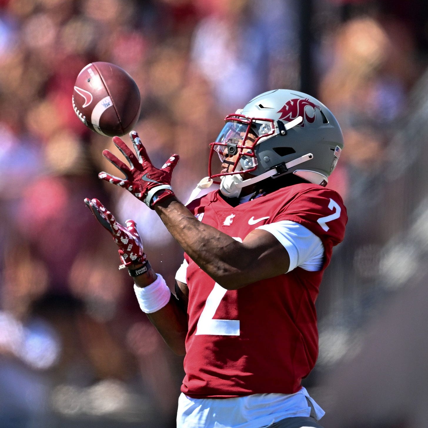 Capable of doing anything you need': WSU's Kyle Williams is becoming much  more than a deep-ball threat