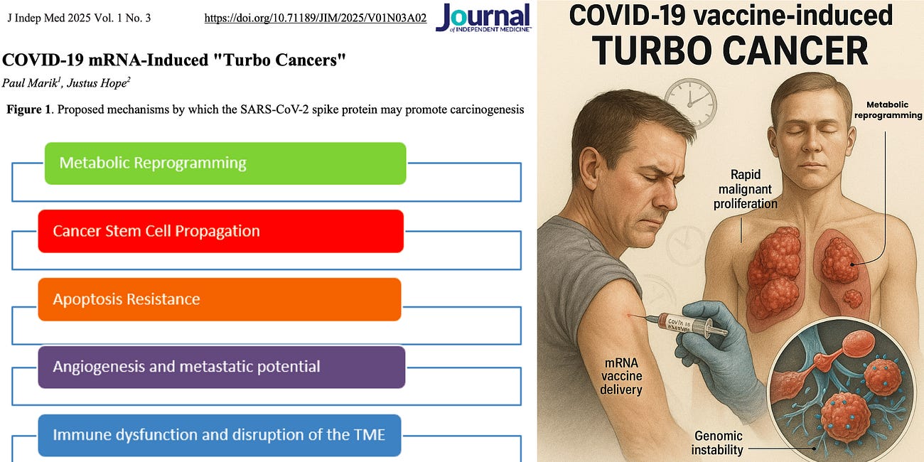 First Peer-Reviewed Paper Defines COVID-19 Vaccine-Induced “Turbo Cancer”
