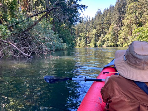 Colorful kayaks in rivers and lakes