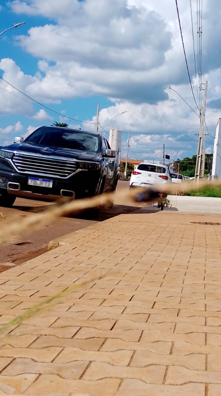 Mosca azul 2 Mosca azul 2