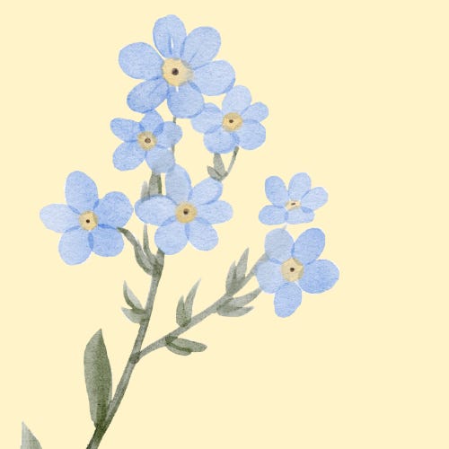 Beckoning of the Wildflowers