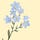 Beckoning of the Wildflowers