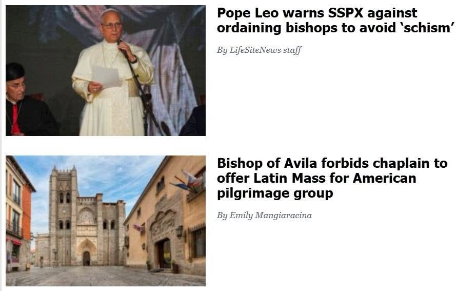 May be an image of text that says 'Pope Leo warns SSPX against ordaining bishops to avoid 'schism' By LifeSiteNews staff Bishop of Avila forbids chaplain to offer Latin Mass for American pilgrimage group By Emily Mangiaracina'