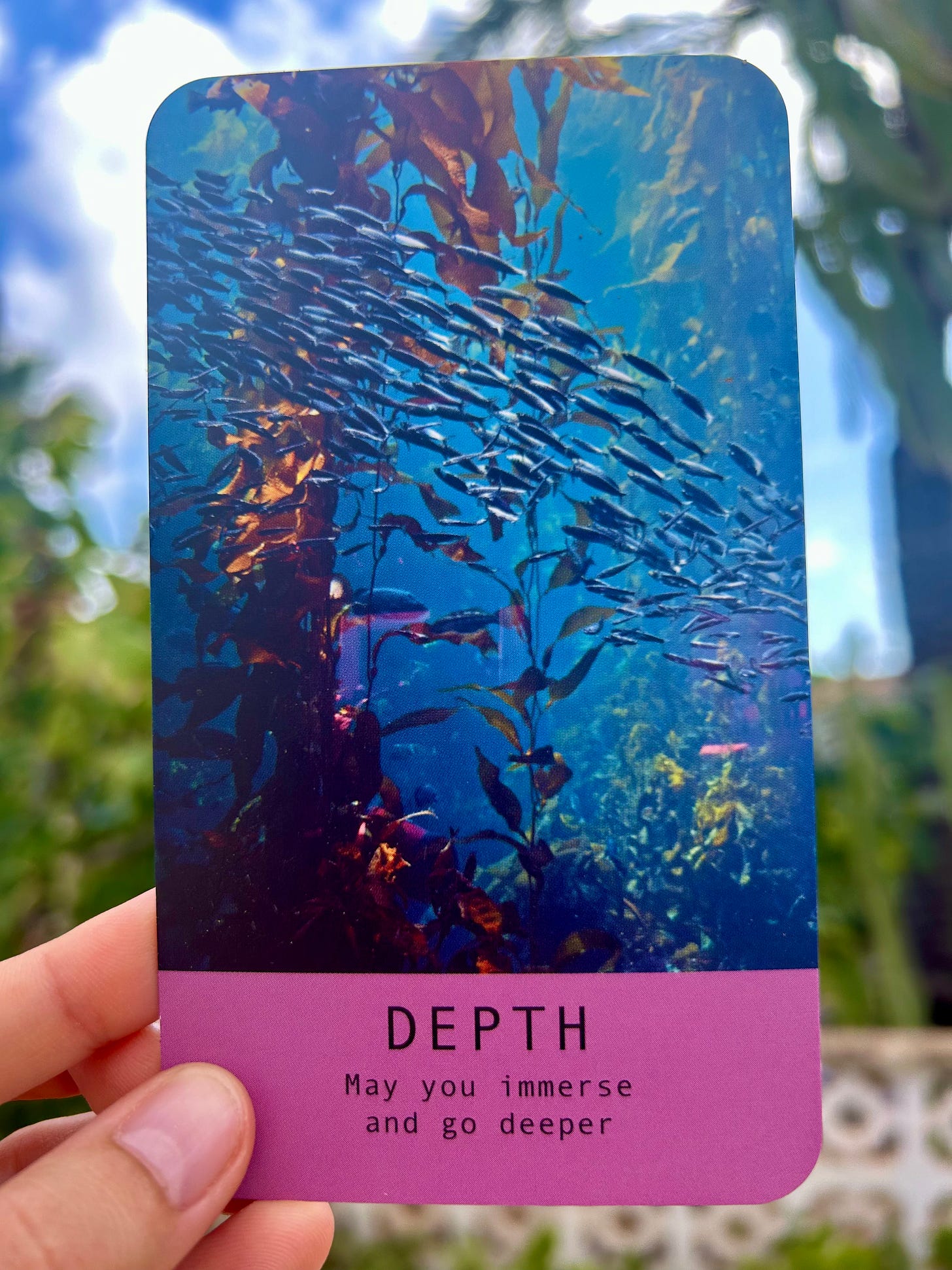 Depth- Sea Soul Journey oracle cards